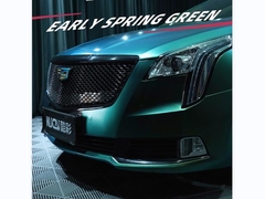 टीपीयू-प्रारंभिक वसंत हरा (चमकदार)